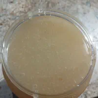 فروش عسل کنار 50کیلو به بالا|خوردنی و آشامیدنی|داراب, |دیوار