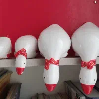 دکوری. خانواده غازها