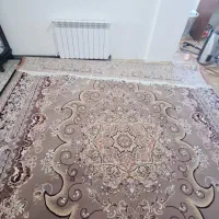 فرش ۱۲ متری ۵۰۰شانه نو|فرش|بم, |دیوار