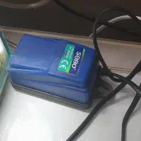 ماهی پرت پلار با لوازم اکواریوم|ماهی|مشهد, مهدی آباد (بلوار توس)|دیوار