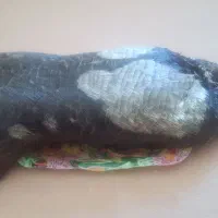 خیگ روغنی|ظروف نگهدارنده، پلاستیکی، یکبارمصرف|ایذه, |دیوار