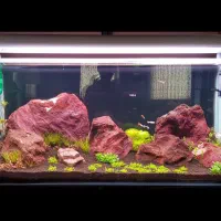 قاب مهتابی آکواریوم ماهیران