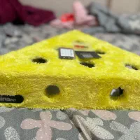 اسکرچر و اسباب بازی گربه نیناپت