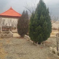 499مترزمین-زعفرانیه-ارکیده