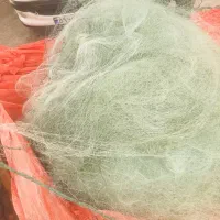 تور گوافی رکسی 70چشمه