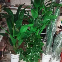 گل پرنده بهشتی مصنوعی|گل مصنوعی|سراب, |دیوار