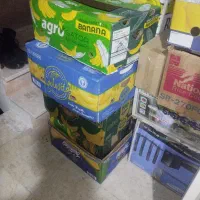 کارتن موز سالم