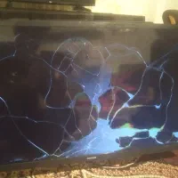 2عدد‌‌ LED|تلویزیون و پروژکتور|شیروان (خراسان), |دیوار