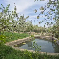 1400 متر باغ گلمکان+ سند شش دانگ+ آب+برق و گاز