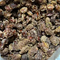قیسی و آلو|خوردنی و آشامیدنی|شیراز, قدوسی شرقی|دیوار