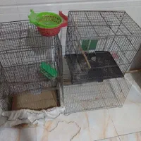 قفس پرنده