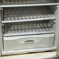 یخچال سالم دو قلو اسنوا تخفیفم داره|یخچال و فریزر|دوگنبدان, |دیوار