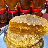 عسل ساکارز ۱ دیابتی