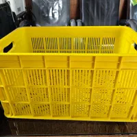 جعبه 20 کیلویی.  کشمشی.