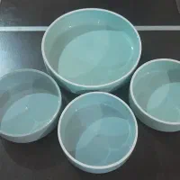 ظروف پذیرایی سرامیکی (همه‌کاره)