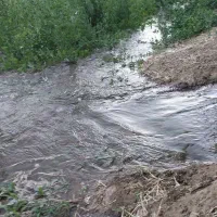 زمین کشاورزی آبی (براو)|فروش دفتر صنعتی، کشاورزی، تجاری|بانه, |دیوار