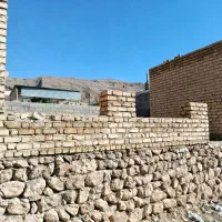 فروش یک اسکلت