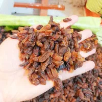 کشمش آفتابی امیدخدادادی