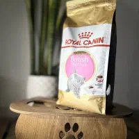 رویال کنین جوسرا رفلکس هپی کت ونپی