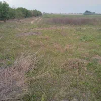 فروش چهار هزار متر زمین سر اتوبان