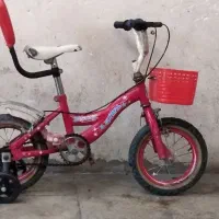 دو دستگاه دوچرخه 12|دوچرخه، اسکیت، اسکوتر|مریوان, |دیوار