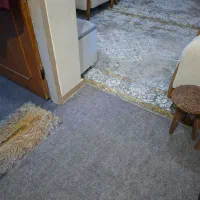 موکت نو|موکت|اهواز, نیوساید|دیوار