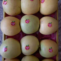 سیب درجه یک تازه