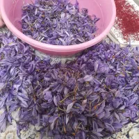 زعفران تازه|خوردنی و آشامیدنی|اهر, |دیوار