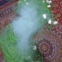 فروش تور بیاه