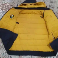 چراغ خواب زیبا|چراغ خواب و آباژور|ملایر, |دیوار