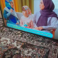 ال ای دی ال‌جی ۴۳