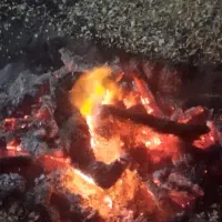 هیزم شومینه ای و آتیشی یانار