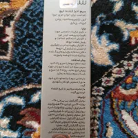 سرم احیا کننده ابرو سریتا