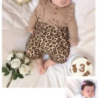 فتوشاپ حرفه‌ای|خدمات پذیرایی، مراسم|اردبیل, |دیوار