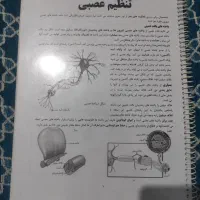 جزوه یازدهم حنیف عظیمی تاملند
