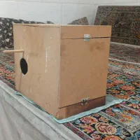 لونه راهب ملنگو عروس هلندی گرینچیک