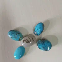 فیروزه نیشابور و شجر