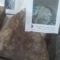 شهابسنگها زرن د|جواهرات|زرند, |دیوار