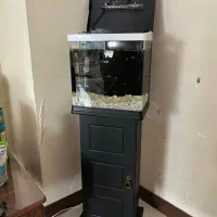 آکواریوم دلسا همراه پایه