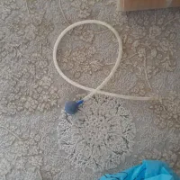 وسایل آکواریوم|ماهی|فولادشهر, A2|دیوار