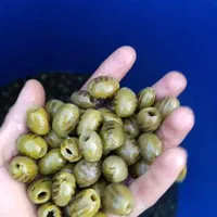 زیتون کبابی|خوردنی و آشامیدنی|چورزق, |دیوار