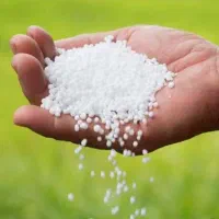 کودسفیدازته