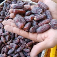 خرمای پیارم باکیفیت|خوردنی و آشامیدنی|تهران, منیریه|دیوار