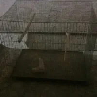 قفس پرنده