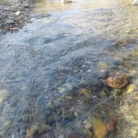 زمین مسکونی امین آباد و نیروی انتظامی