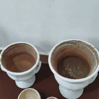 گلدان|گل مصنوعی|قشم, |دیوار