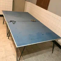 میز پینگ پنگ