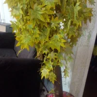 درختچه مصنوعی