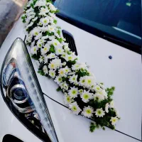 ماشین عروس