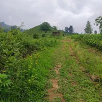 زمین در سطلسر لاهیجان|فروش زمین و ملک کلنگی|لاهیجان, لیل|دیوار